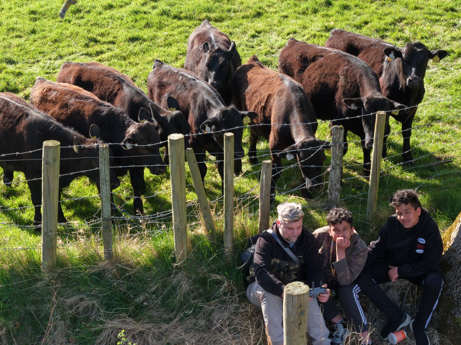 The walkers out by the fields
